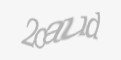 Защитный код