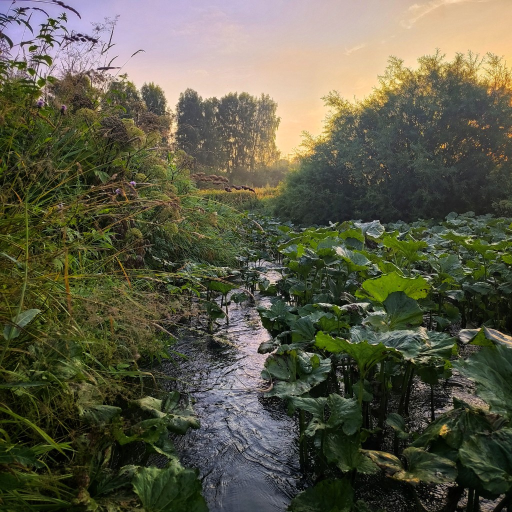 1000022028
