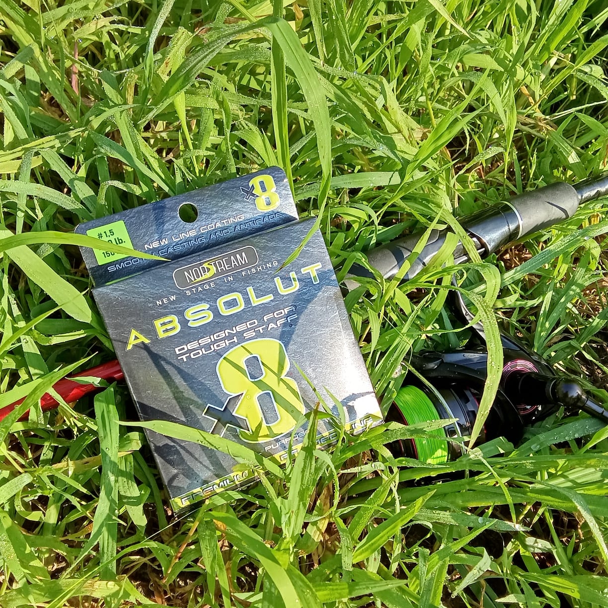 pl1