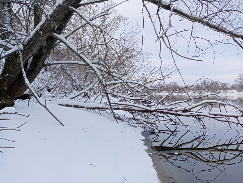 IMG20260103104840 с