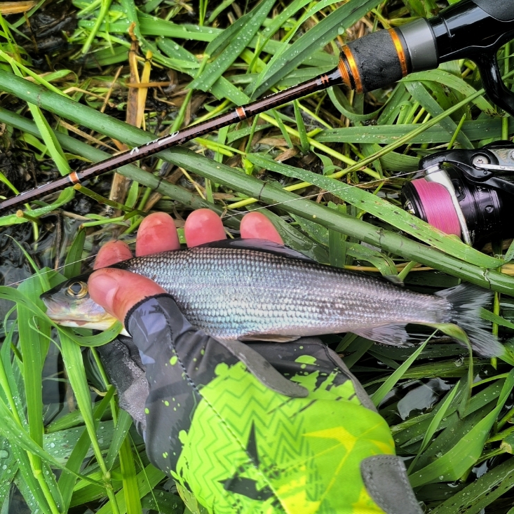 IMG 20251007 191606