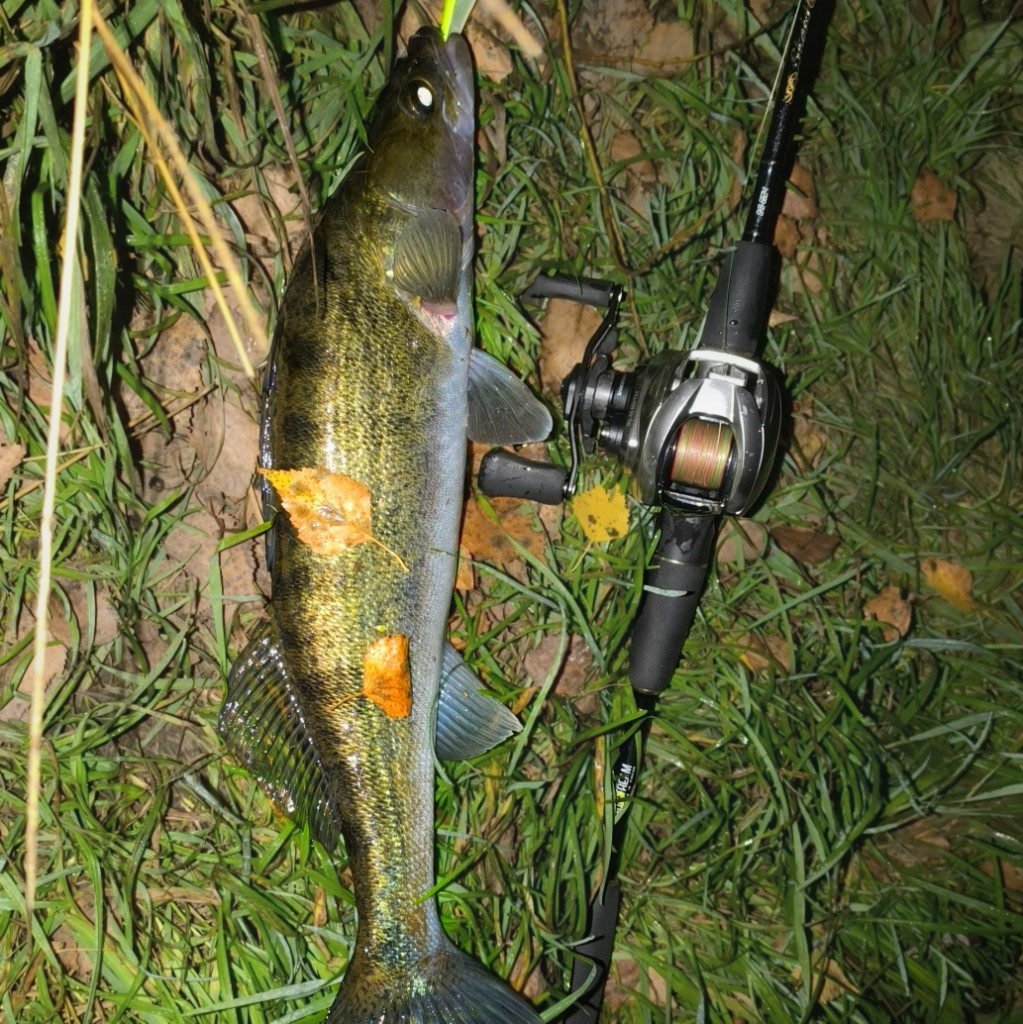 IMG 20251022 090620