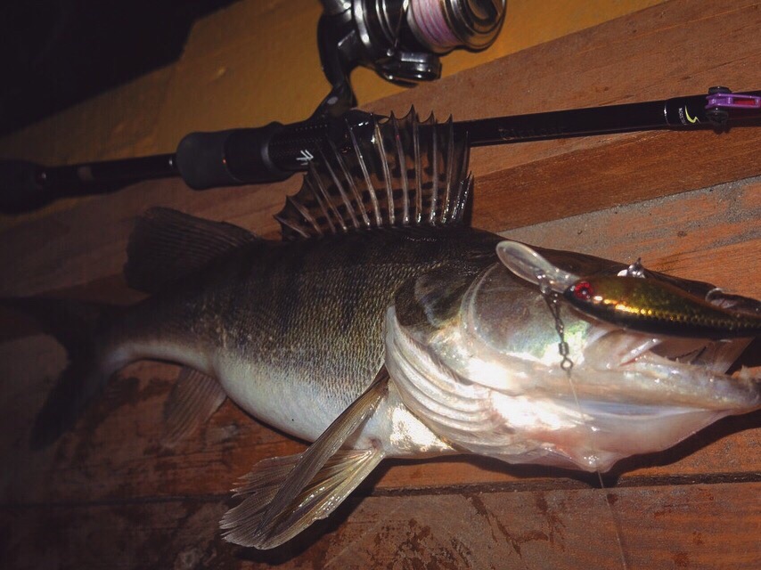 Norstream Bifrost streetfishing