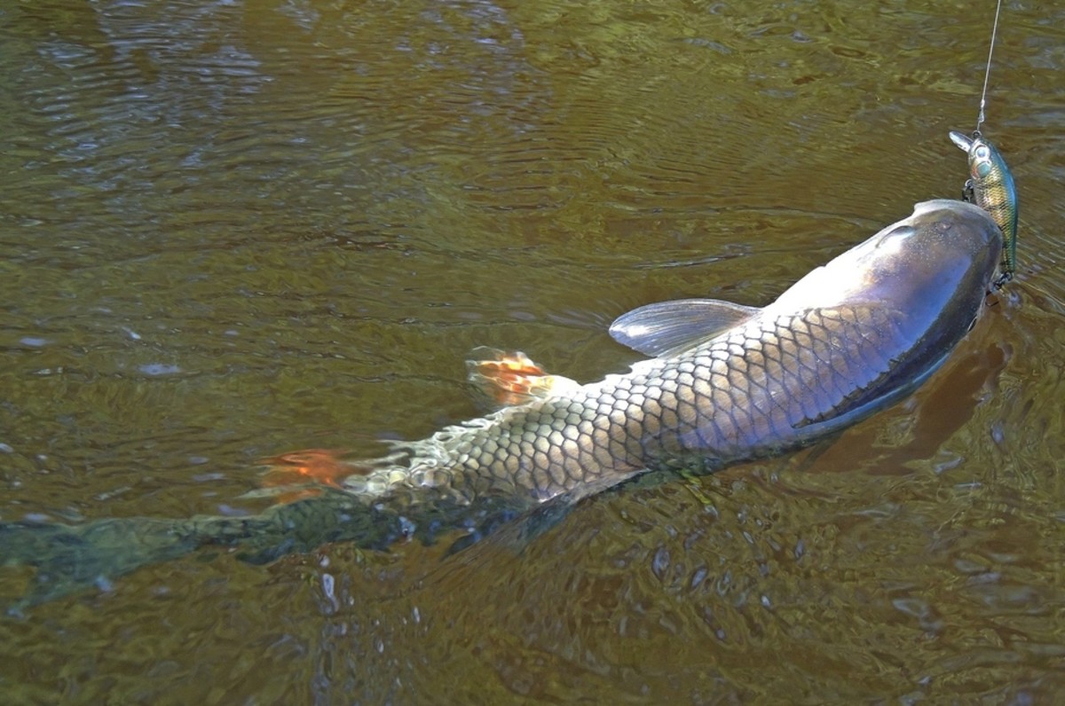 DSCN4006