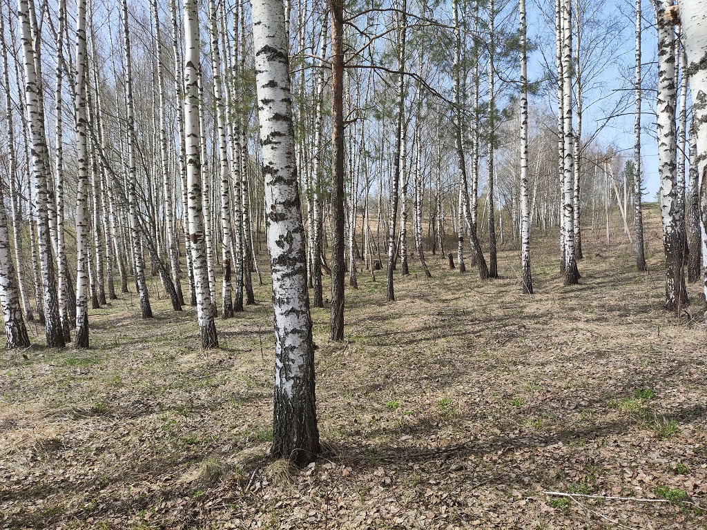 фидер 1